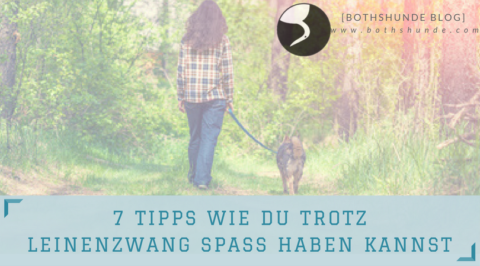 Tipps Gegen Langeweile Zu Hause