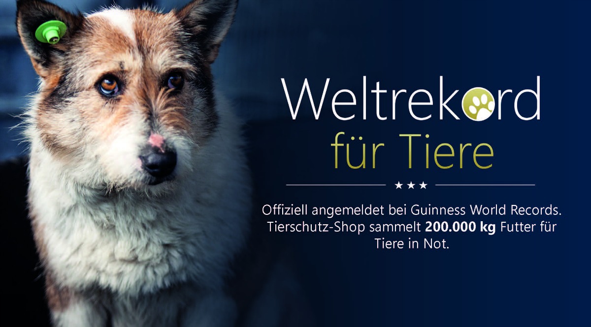 Weltrekord für Tiere Tierschutz Shop Hund Hundeblog Fiffibene