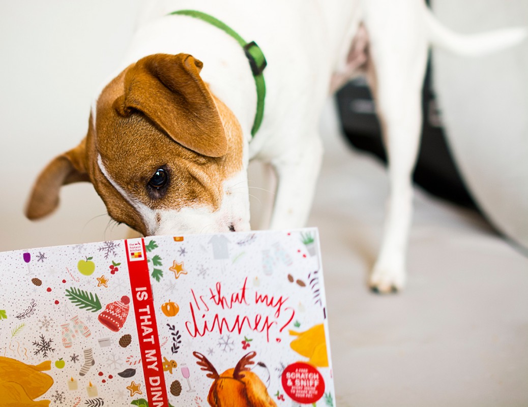 a-scratch-and-sniff-book-for-your-dog