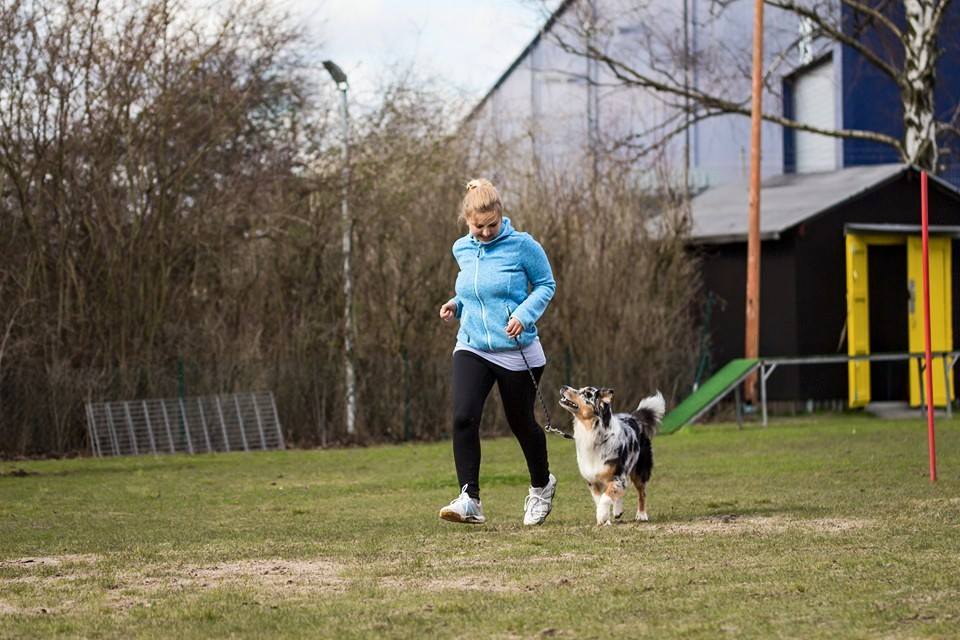 Hundesport Training