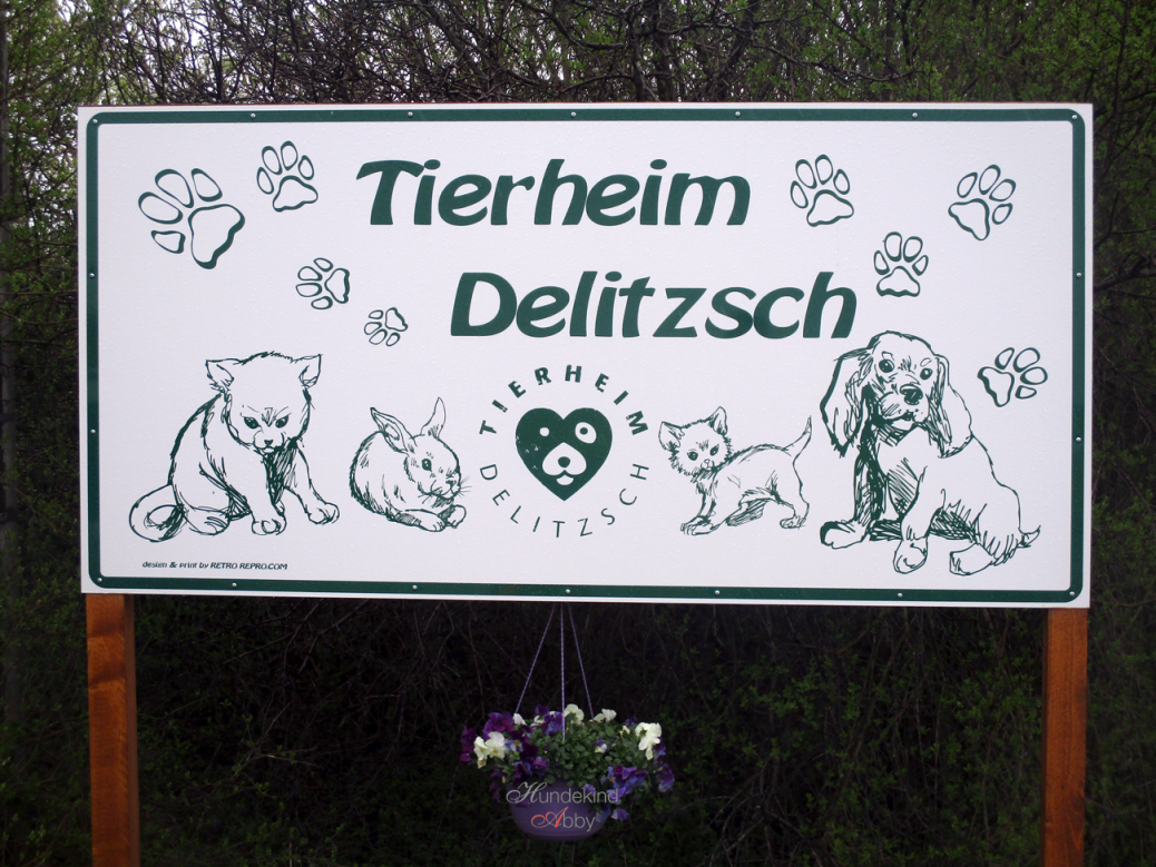 Tierheim Delitzsch