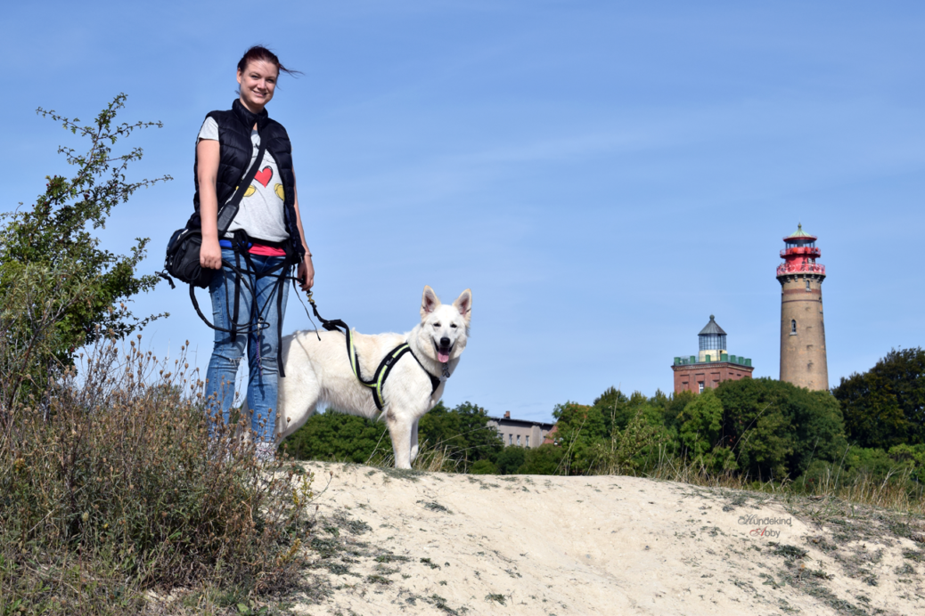 3 Ausflugstipps in Rügen mit Hund miDoggy Community