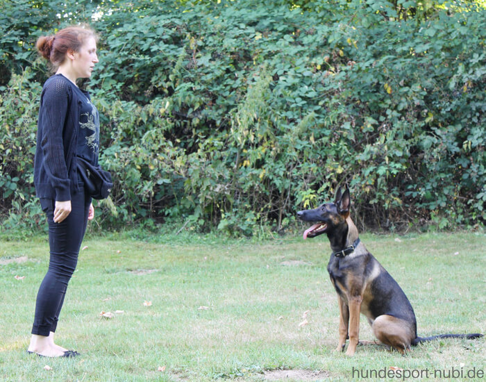 Begleithundeprüfung -Vom Welpen zum Begleithund - Malinois - Hundesport Nubi (2)