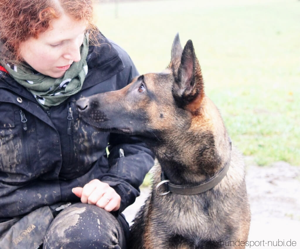 Begleithundeprüfung mit 15 Monaten_ Vom Welpen zum Begleithund - Team - Hundesport Nubi - Shop für aktive Hunde (1)