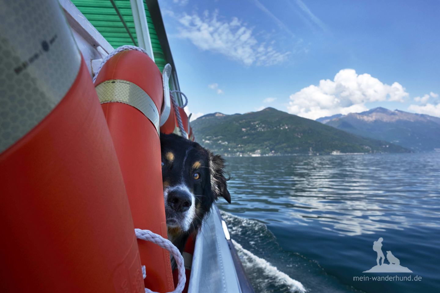 Lago Maggiore Schifffahrt &amp; Panoramawanderung mit Hund bei Cannobio
