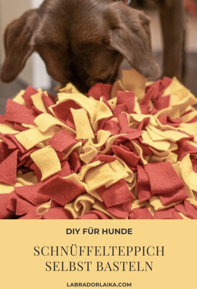 DIY Schnüffelteppich für Hunde miDoggy Community