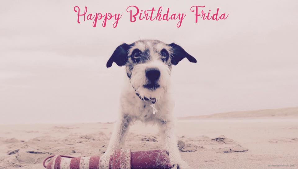 Fridas 10. Geburtstag