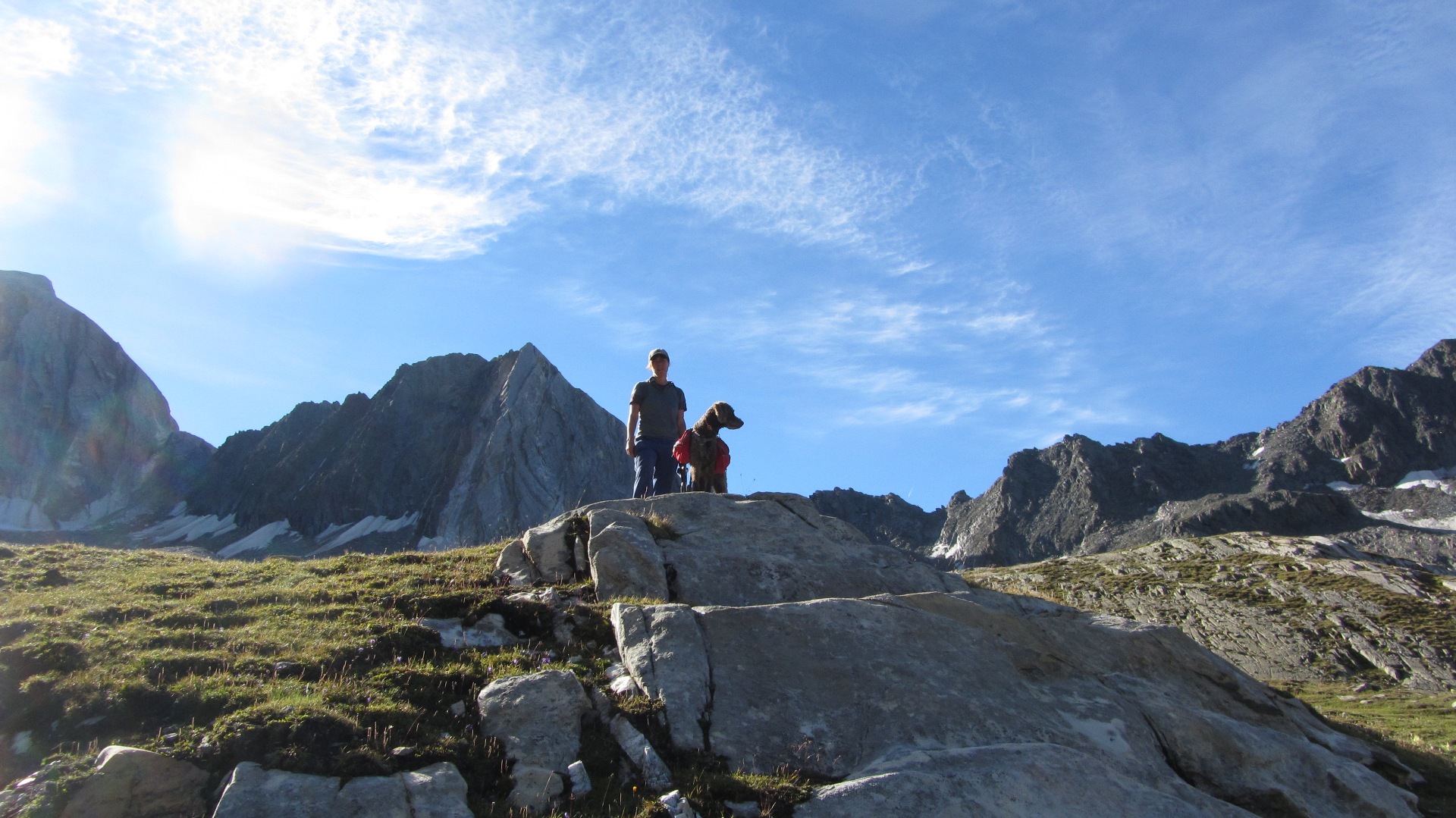 Wandern mit Hund Meraner Höhenweg miDoggy Community