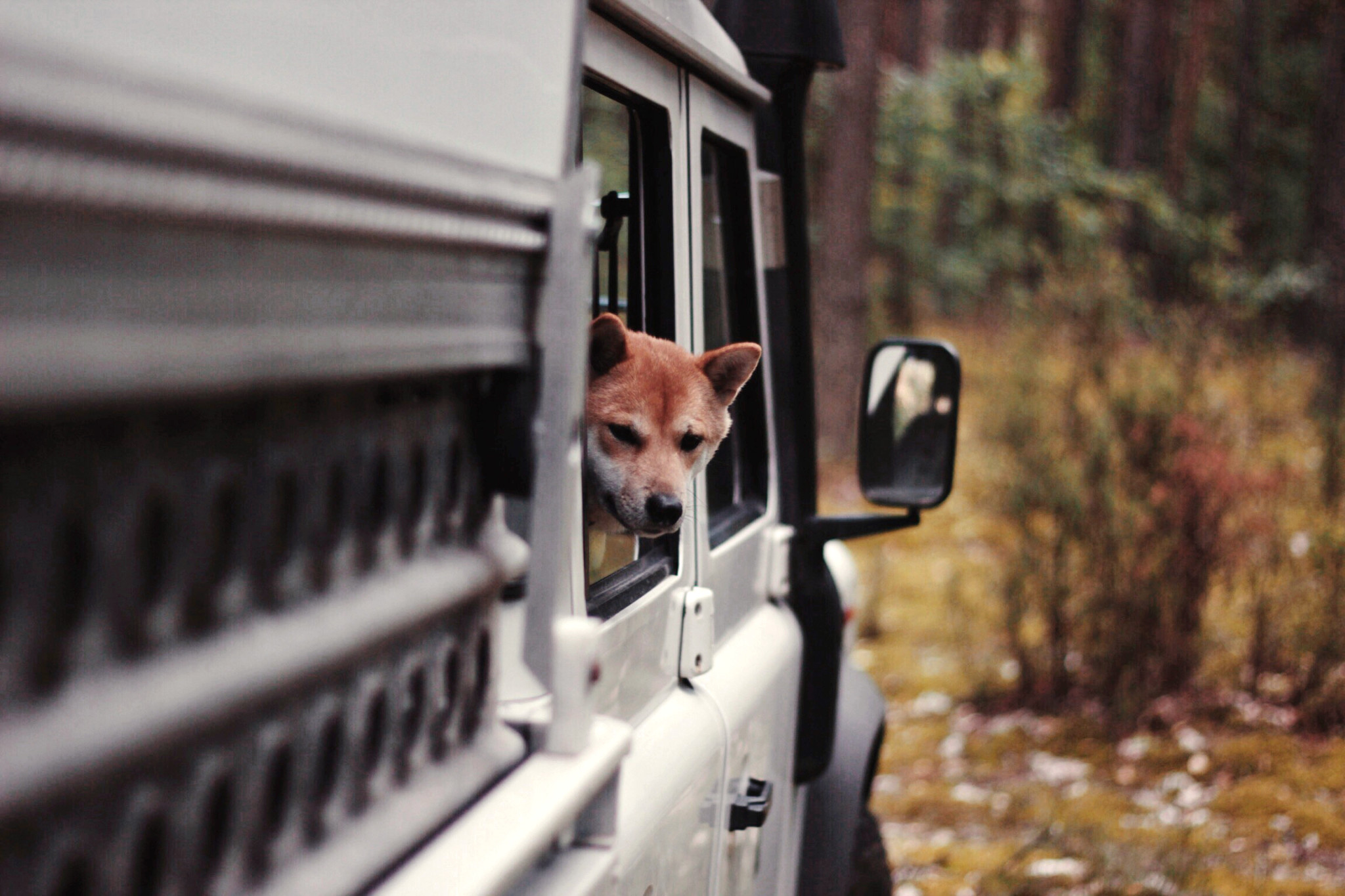 Camping Urlaub Polen mit Hund