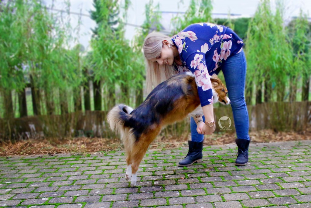 17 coole Hundetricks, die Du Deinem Hund beibringen kannst