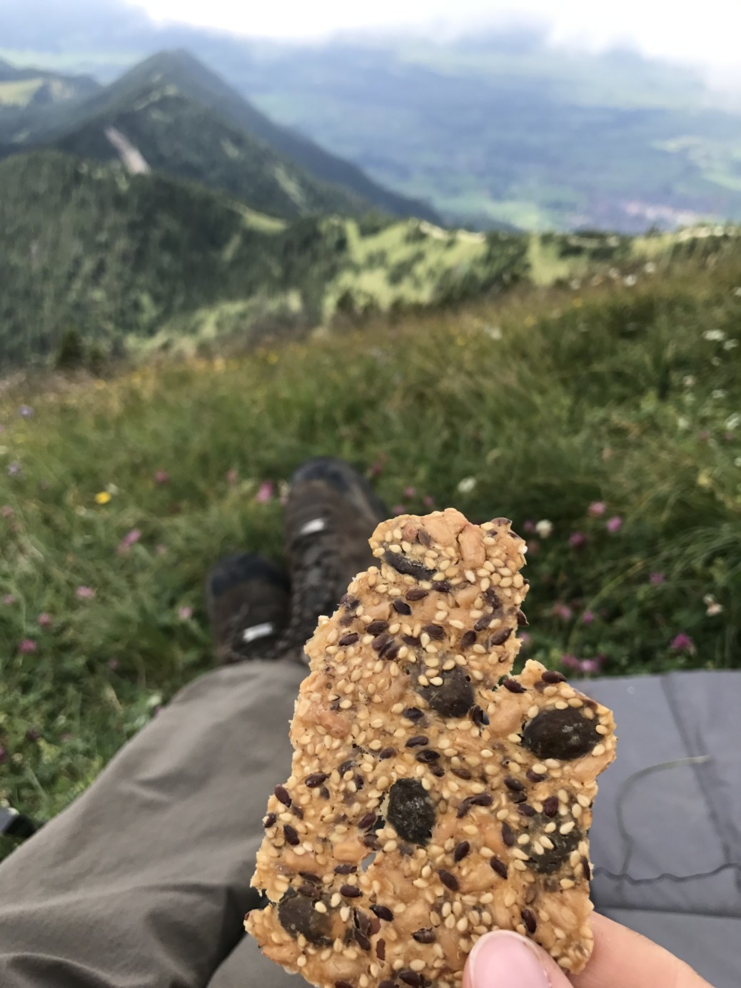 Knäckebrot ganz leicht selbst gemacht miDoggy Community