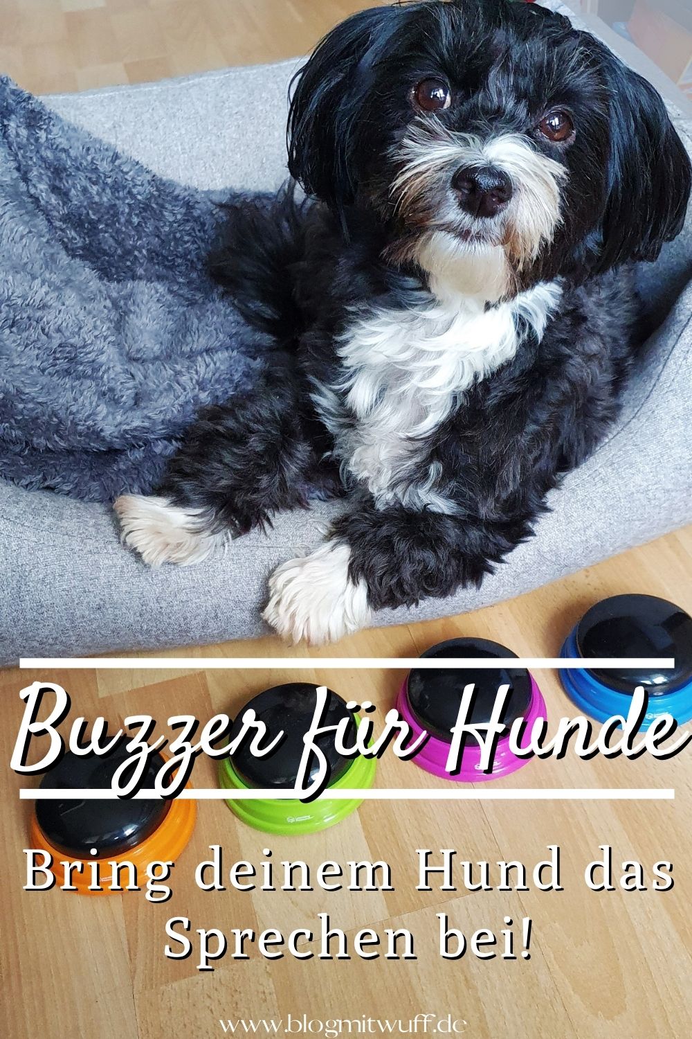 Learning Resources Buzzer Bring deinem Hund das Sprechen bei