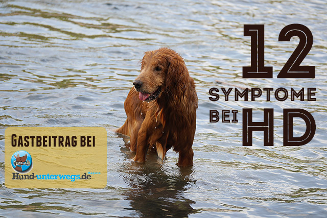 12 Symptome bei HD