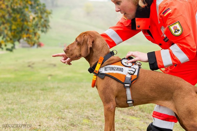 Wenn Hunde Leben retten Nala auf der Suche nach Vermissten miDoggy
