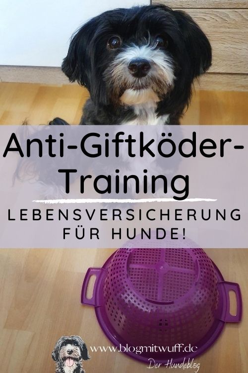 AntiGiftköderTraining Lebensversicherung für Hunde! miDoggy Community
