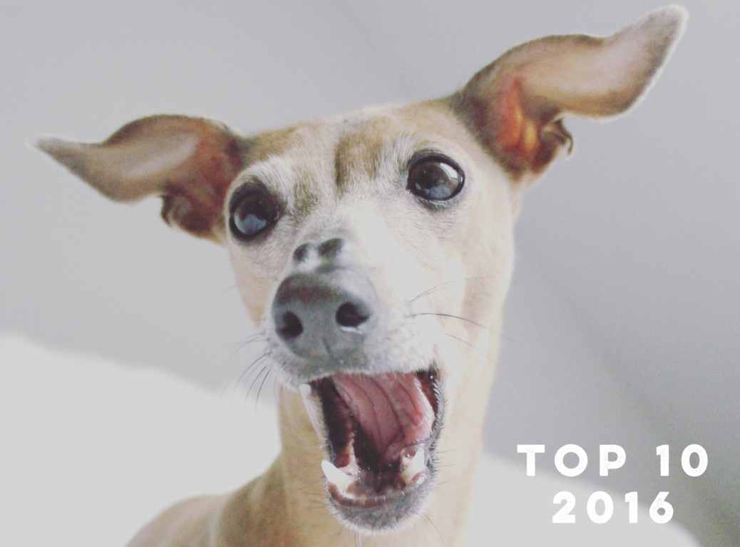 Top 10 Beiträge 2016