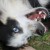 Profilbild von Django - Ein griechischer Hund an der Ostsee
