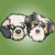 Profilbild von Kleine Hundeschnauzen
