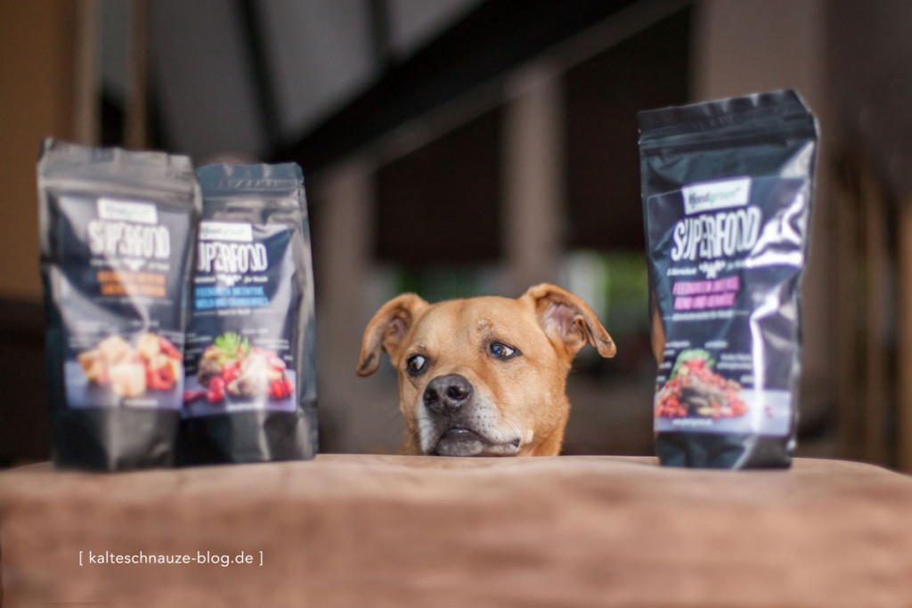 Neusser Startup „Feed Green“ bringt SuperfoodProdukte für Hunde auf
