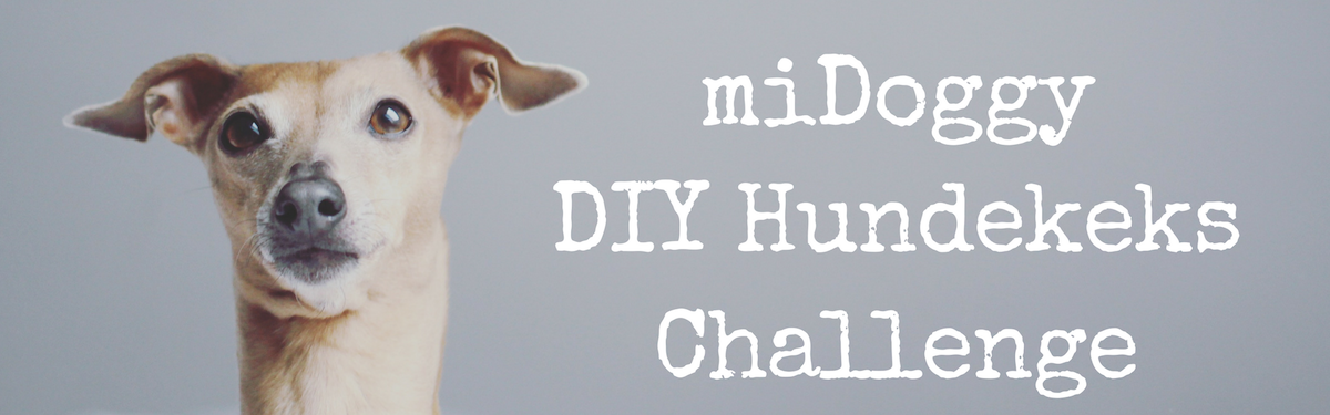 miDoggy DIY Hundekeks Challenge
