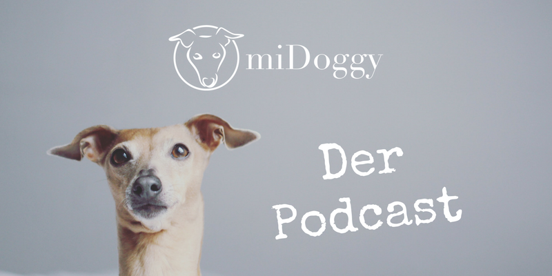 miDoggy Der Podcast für alle Hunde und Hundebesitzer