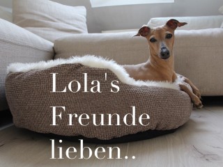 Lola's Freunde lieben Hundeblog miDoggy