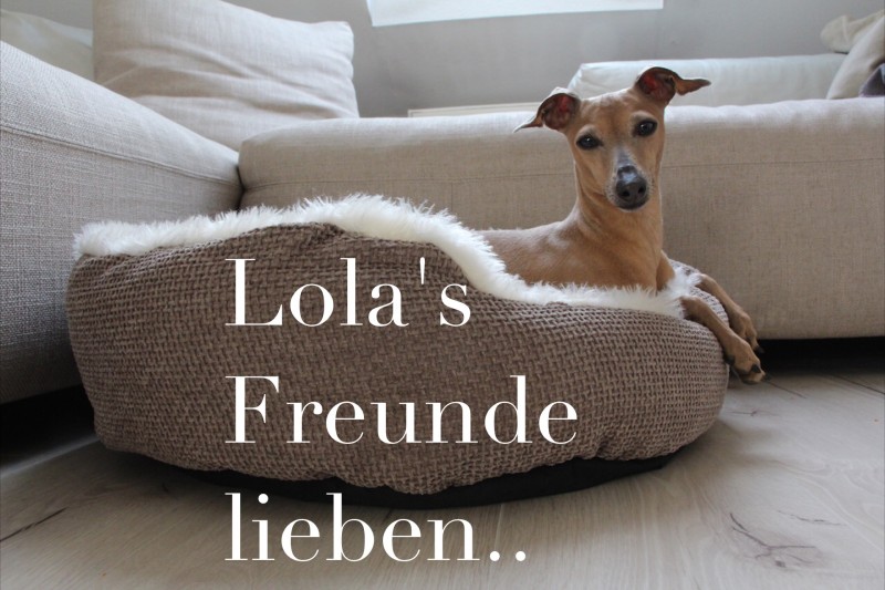 lolas-freunde-lieben-hundeblog-midoggy-2