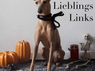 Lola's Lieblings Links Halloween Hundeblog miDoggy