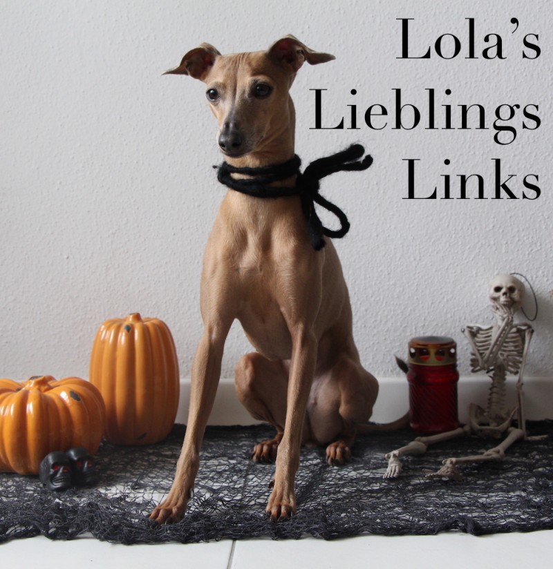 lolas-lieblings-links-halloween-hundeblog-midoggy-2