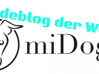 Hundeblog der Woche miDoggy Community klein