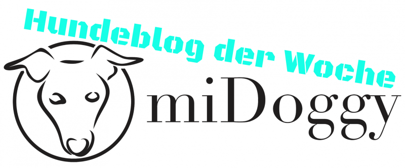 hundeblog-der-woche-midoggy-community-klein-2